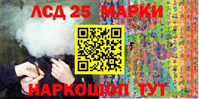 спиды Гай