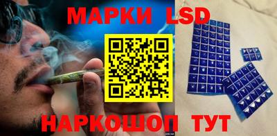 спиды Гай