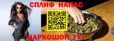 спиды Гай