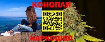 спиды Гай