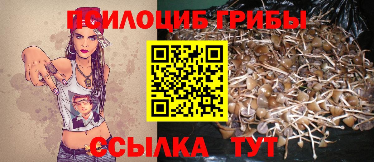 Можга  Галлюциногенные грибы Psilocybine cubensis  купить наркоту  Вход с VPN 