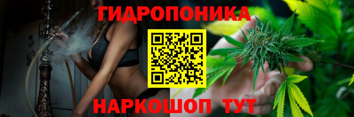 Бошки марихуана THC 21% Можга
